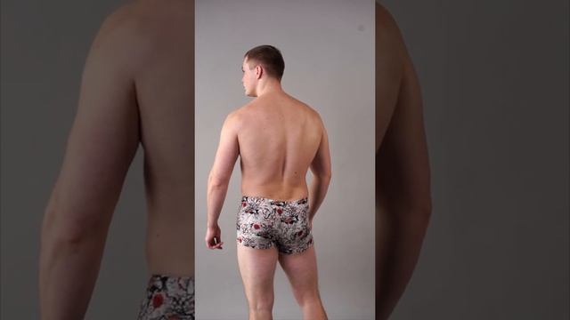 Трусы мужские боксеры хлопковые,вискоза Эвкалипт, Сандал18,Турклайн,Doreanse 1808 смотреть онлайн