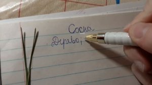 Что можно записать в травник??