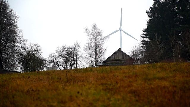 Петухи кричат. Осеннее утро в деревне. Естественный будильник. Вставать с петухами смотреть онлайн