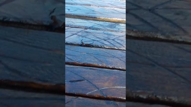 Качеля Техас. Мой вариант качели 2. смотреть онлайн