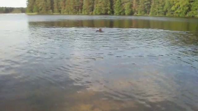 Ты утонул! Не дождёшься!100 1313 смотреть онлайн