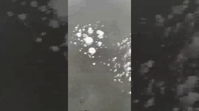 Липецк. Силикатный. Катание на коньках 12.12.2020 г