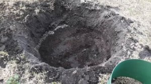 ПОСАДКА ЯБЛОНИ/как правильно посадить яблоню  весной