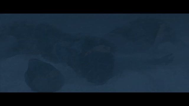 Kraven Vânătorul / Kraven The Hunter -Trailer Subtitrat Română (Aaron Taylor-Johnson, Russell Crowe