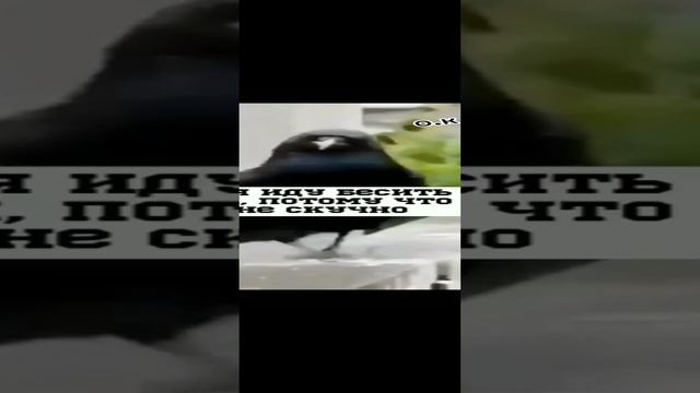 🥰🤣👍 смотреть онлайн