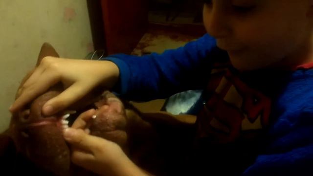 Супер мэн против собаки породы Шар-Пей 2018 Super man against the dog of the Shar-Pei breed смотреть онлайн