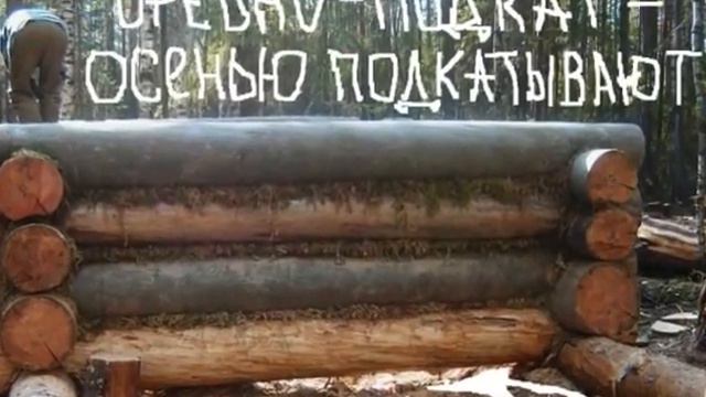 Как строили избушку на месте, где была избушка нашего деда, от которой осталось поросшее мхом смотреть онлайн