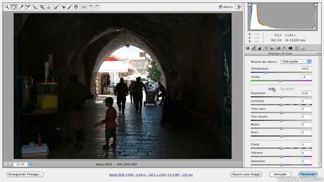 Photoshop CS6 : Traitement global revu dans Camera Raw 7 смотреть онлайн