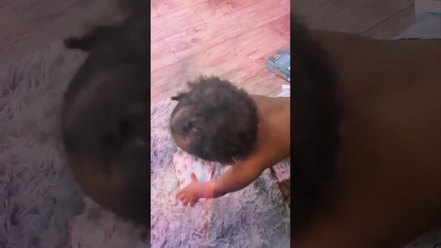 60-second Oracle Advice with Artemis: Read the Description! смотреть онлайн