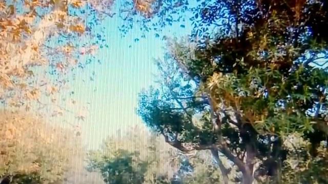 САМЫЙ ДОРОГОЙ ДОМ ЗА ВСЮ ИСТОРИИ ЛОС-АНДЖЕЛЕСА,ТУТ ЖИЛА ШЕР, ЗАЙДЁМ И ПОСМОТРИМ 27.12.2017 смотреть онлайн