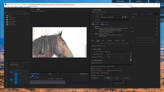 How To Export a Video in Adobe Premiere Pro - TUTORIAL смотреть онлайн