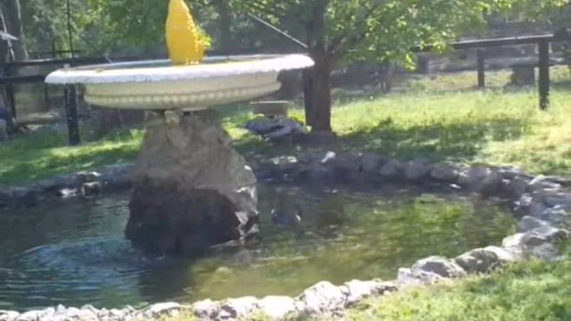 Фото с Аскания-Нова 29 апреля 2018г смотреть онлайн