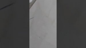 Как убрать маркер или карандаш с плитки и керамогоанита.