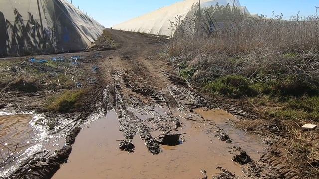 Банановый рай смотреть онлайн