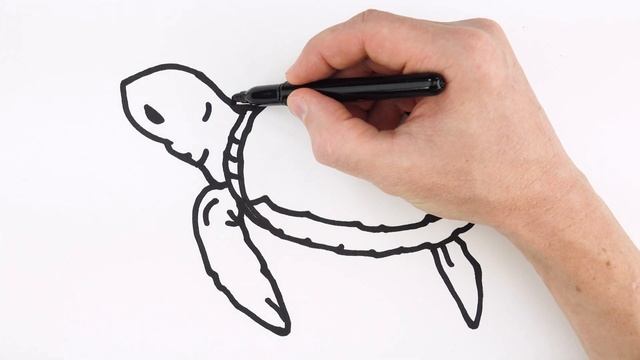 How to Draw a Turtle Baby | Easy Animals Drawings for Beginners | Art Tutorial смотреть онлайн