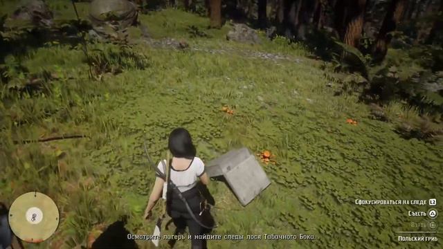 RDR 2 online: Легендарный лось Табачный Бок смотреть онлайн