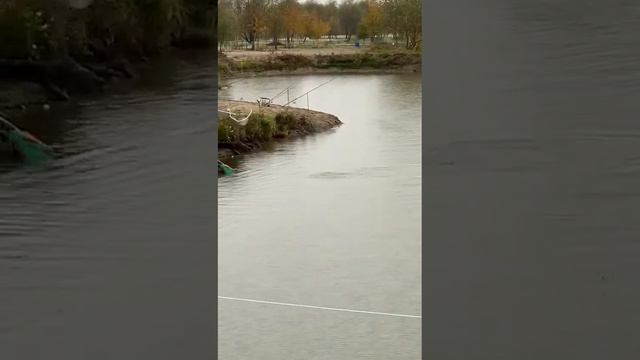 Юные рыбаки в деле🎣🐟👍 смотреть онлайн