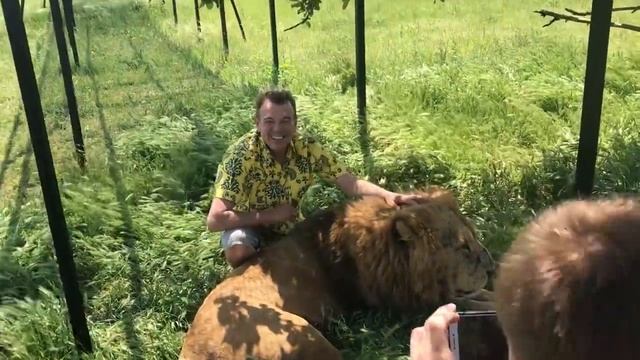 Фотосессия со всеми звездами саванны! Тайган Lions in Crimea смотреть онлайн