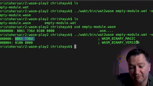 HELLO WEBASSEMBLY - A BEGINNERS TUTORIAL TO CODING WEBASSEMBLY (WASM) BY HAND. смотреть онлайн