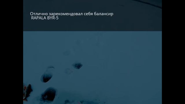 Открытие сезона -дубль 2 "Окунь есть-он не может не есть ! )05.12.16 смотреть онлайн