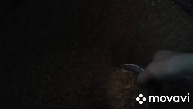 Делай То, Что Вдохновляет Творить