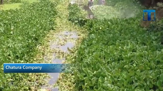 Самые Необычные Садовые Машины, Инструменты и Газонокосилки смотреть онлайн