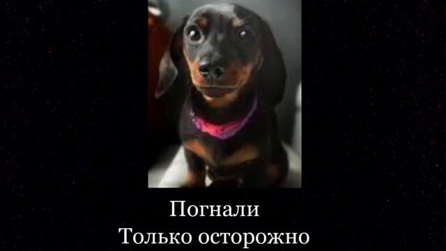 Привет друзья, сегодня мы с Егором будем искать... смотреть онлайн