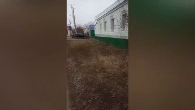 ВуД#5 Дорога домой смотреть онлайн