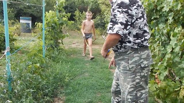 Дед готовит внука к армии смотреть онлайн