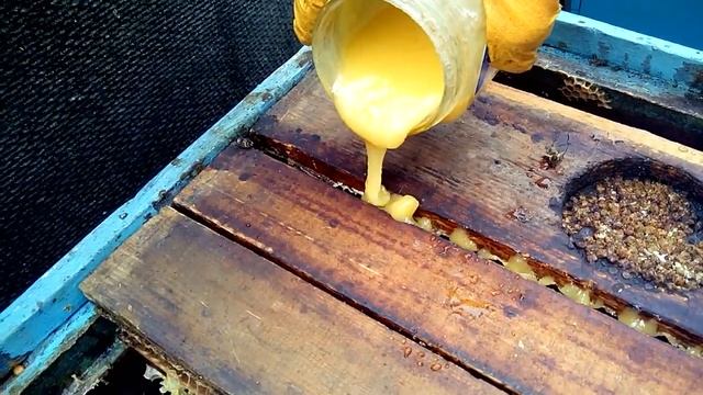 Ленивый пчеловод.Зимовка пчёл без утепления и заморочек № 2 (2019) смотреть онлайн