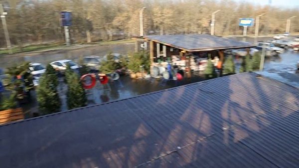 Ёлочный базар "Атмосфера"