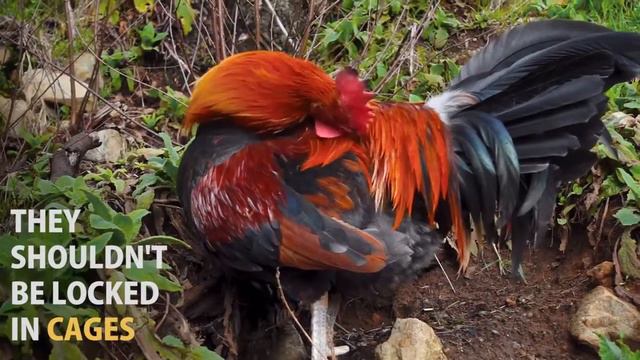 Глазами ребенка смотреть онлайн