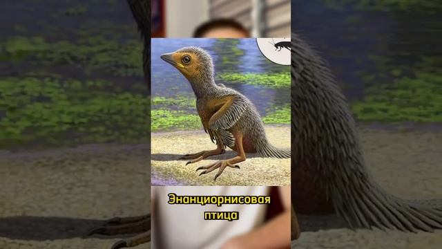 Птенцу 100 млн лет. #интересное #образование #факты #саморазвитие #птенец смотреть онлайн