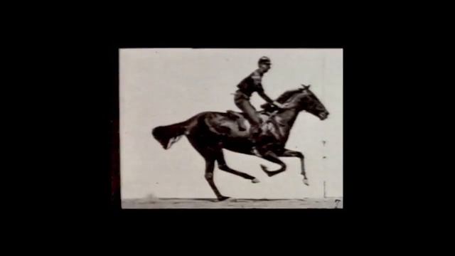 Eadweard Muybridge - Human and Animal Locomotion (Animals) смотреть онлайн