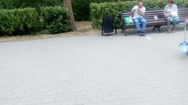 Прогулка в парке ГАГАРИНА\ Контактный зоопарк\ Вот это талантище смотреть онлайн