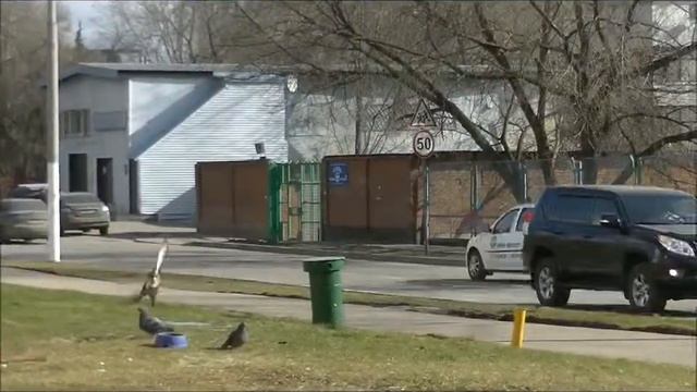 Как дойти до ветеринарной клиники Бемби пешком. Улица Цюрупы дом 3.