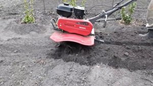 Мотокультиватор Weima 900m-3 полевые испытания.  Замена масла в редукторе