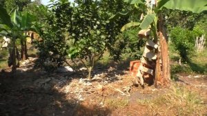 На кого работают Вьетнамские фермеры. Вьетнам. Самые лучшие, необычные и интересные факты.