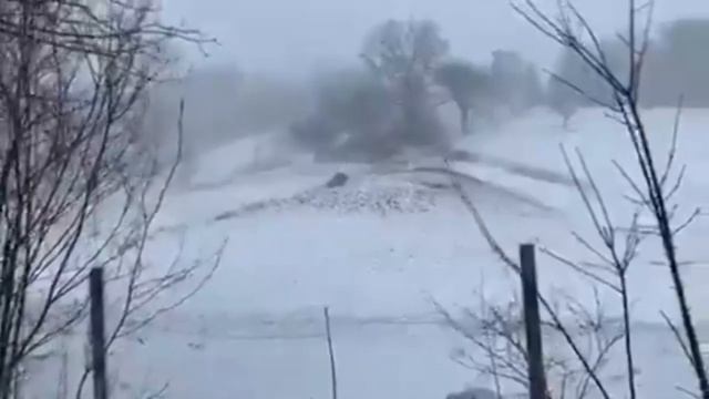 Powerful avalanche hits Torfhaus Braunlage, Germany - February 8, 2021 смотреть онлайн