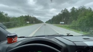 Каменс или Эвотек ? Газель Некст ЦМФ .