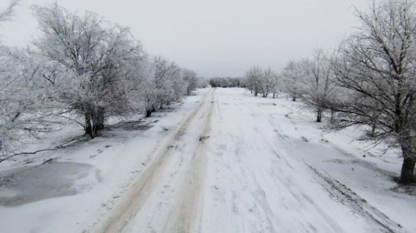 DJI FPV Бекетовка