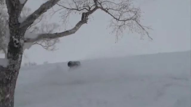 japan Niseko strawberry fields смотреть онлайн