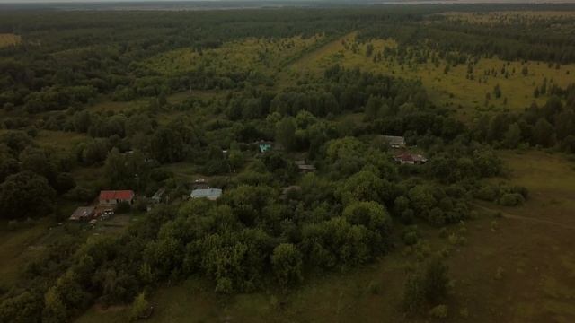 Ястреб летит за дроном смотреть онлайн