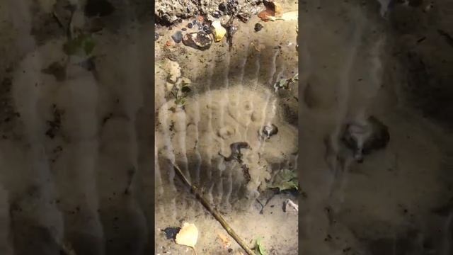 Источник воды / Источник жизни