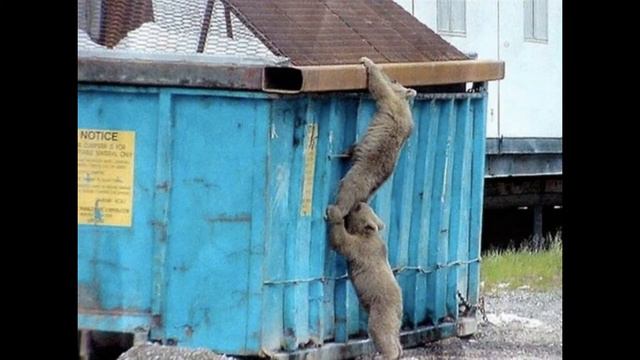 Garbage Dump - Charles Manson смотреть онлайн