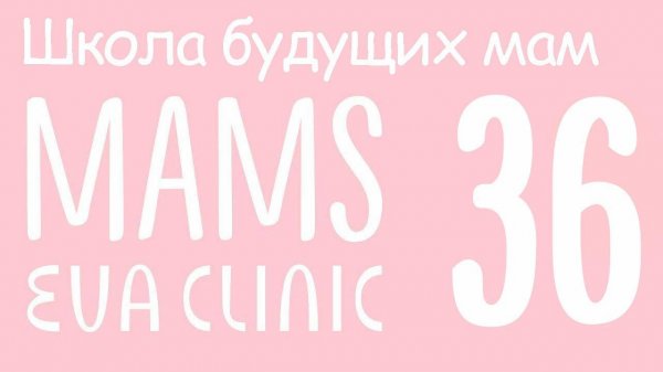 Правила выбора колясок - Школа Будущих Мам в Eva Clinic #36