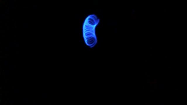 Eternity -Orbit Infinity xD смотреть онлайн
