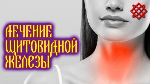 ЛЕЧЕНИЕ ЩИТОВИДНОЙ ЖЕЛЕЗЫ НАРОДНЫМИ СРЕДСТВАМИ. Как Лечить Щитовидку в Домашних Условиях.mp4