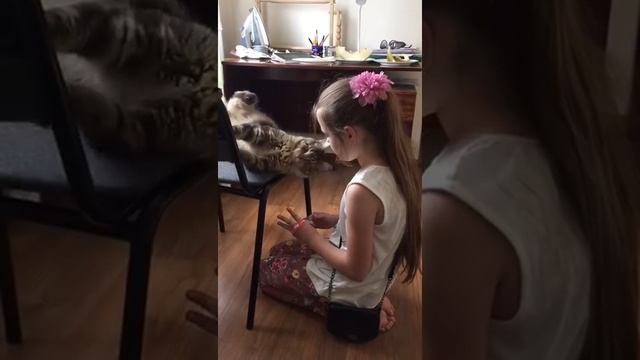 Кошка думает, что девочка - это ее котенок! смотреть онлайн