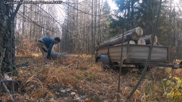 Транспортировка брёвен на минитракторе.Transportation of logs on a minitractor. смотреть онлайн